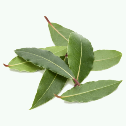Bay Leaves